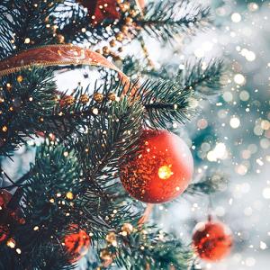 christmas tree