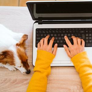 woman using computer